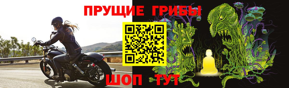 сколько стоит  Галлюциногенные грибы мухоморы  Галлюциногенные грибы MAGIC MUSHROOMS  Вход с VPN  Белогорск 