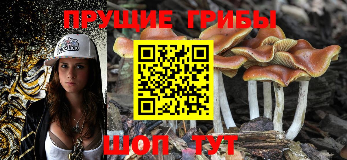 Псилоцибиновые грибы прущие грибы Белогорск